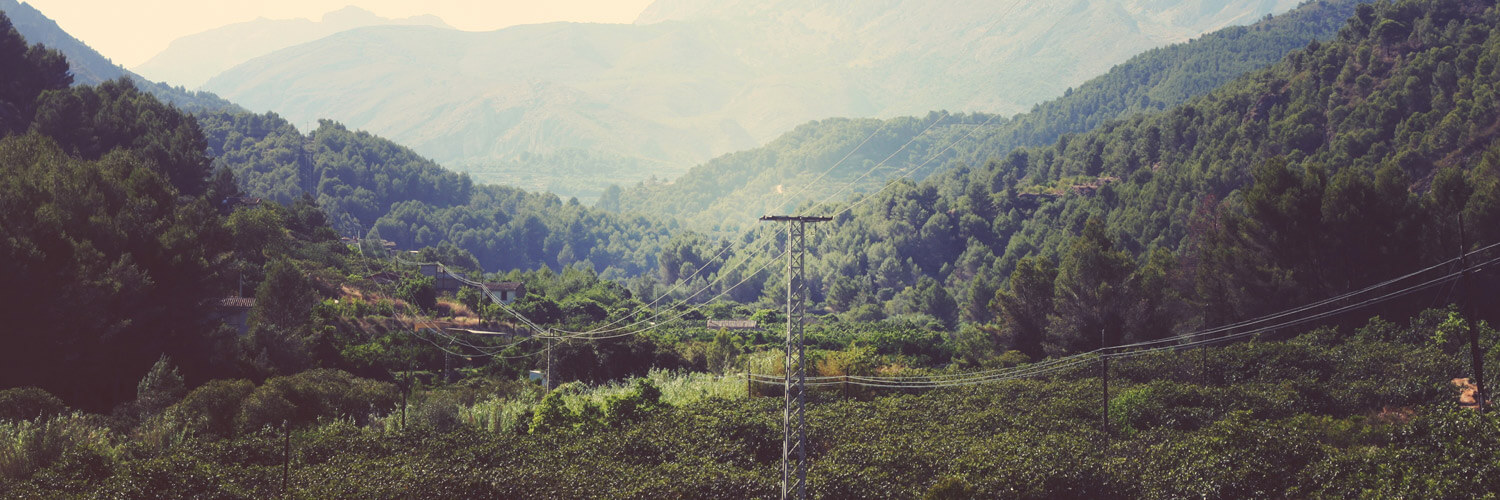 Bracken Hill Forestry