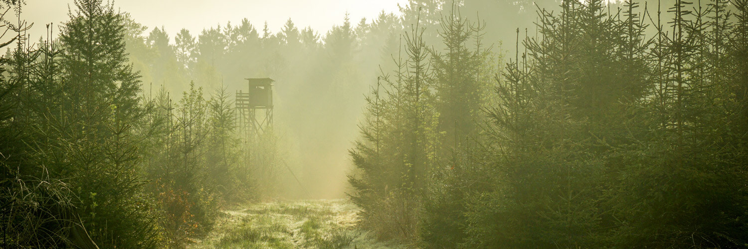 Bracken Hill Forestry - Services