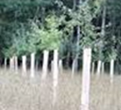 Crop Protection Solutions